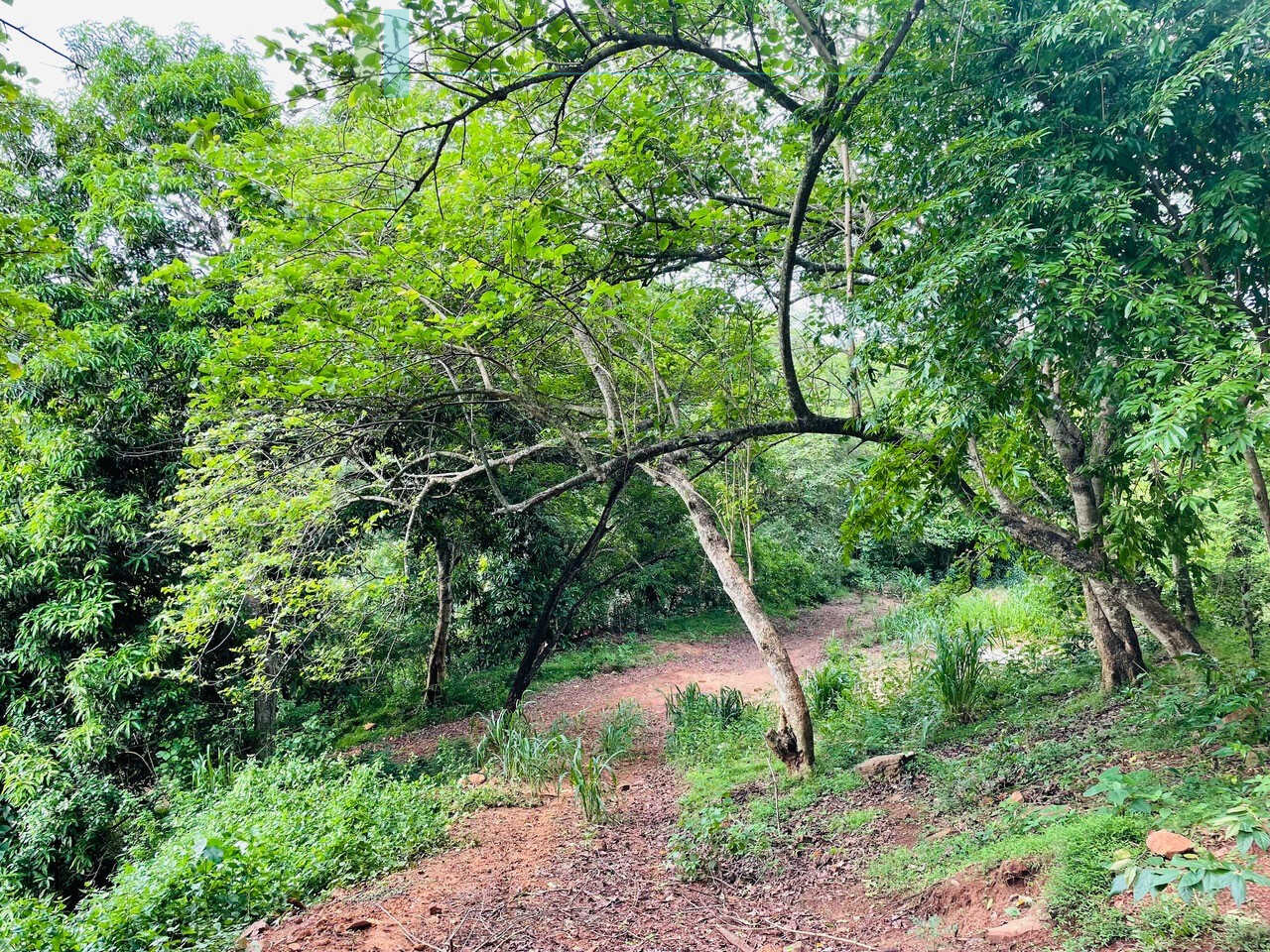 Elevated ocean view land near Tangalle