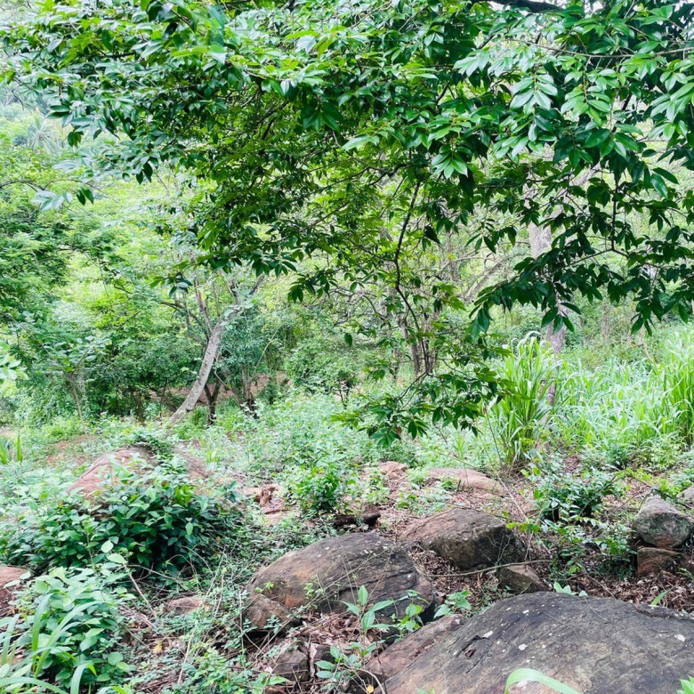 Elevated ocean view land near Tangalle