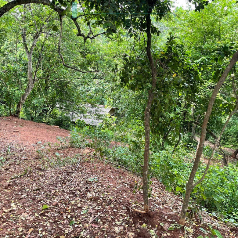 Elevated ocean view land near Tangalle
