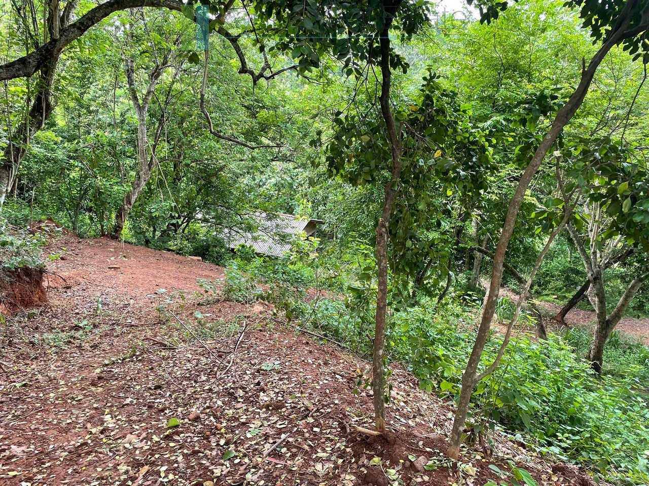 Elevated ocean view land near Tangalle