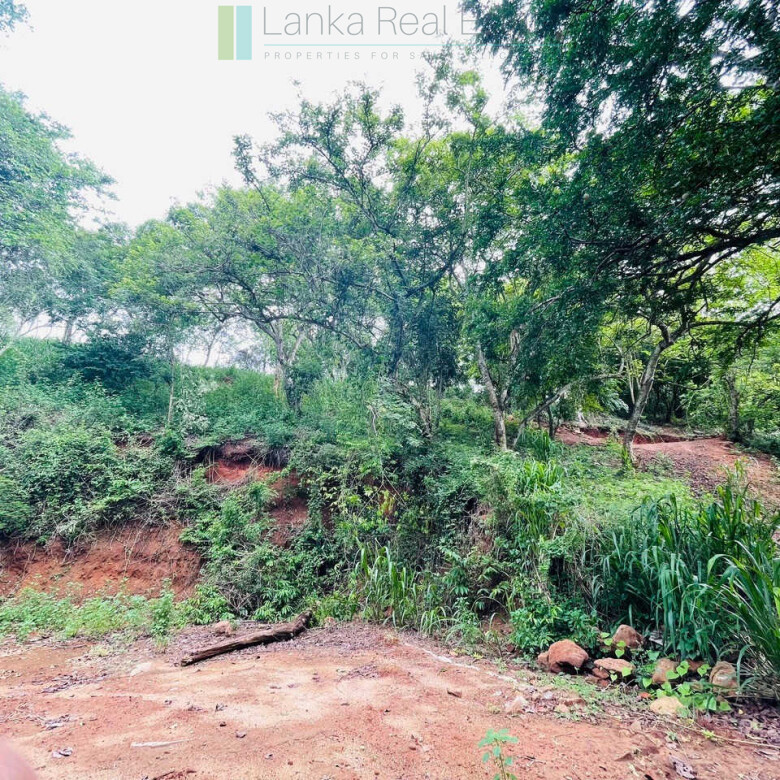 Elevated ocean view land near Tangalle