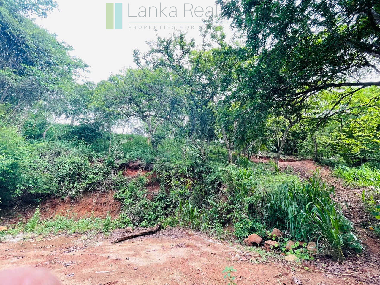 Elevated ocean view land near Tangalle