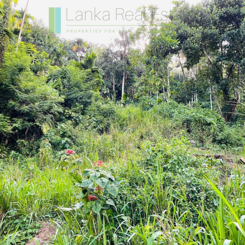 One acre with ocean views at Habaraduwa