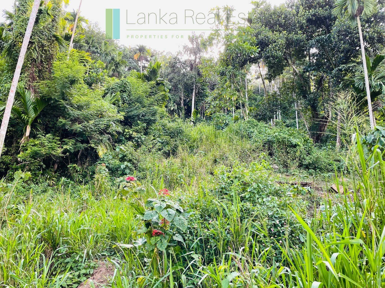 One acre with ocean views at Habaraduwa