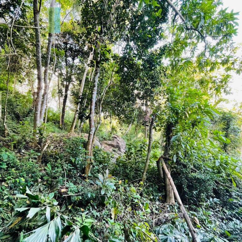 One acre with ocean views at Habaraduwa