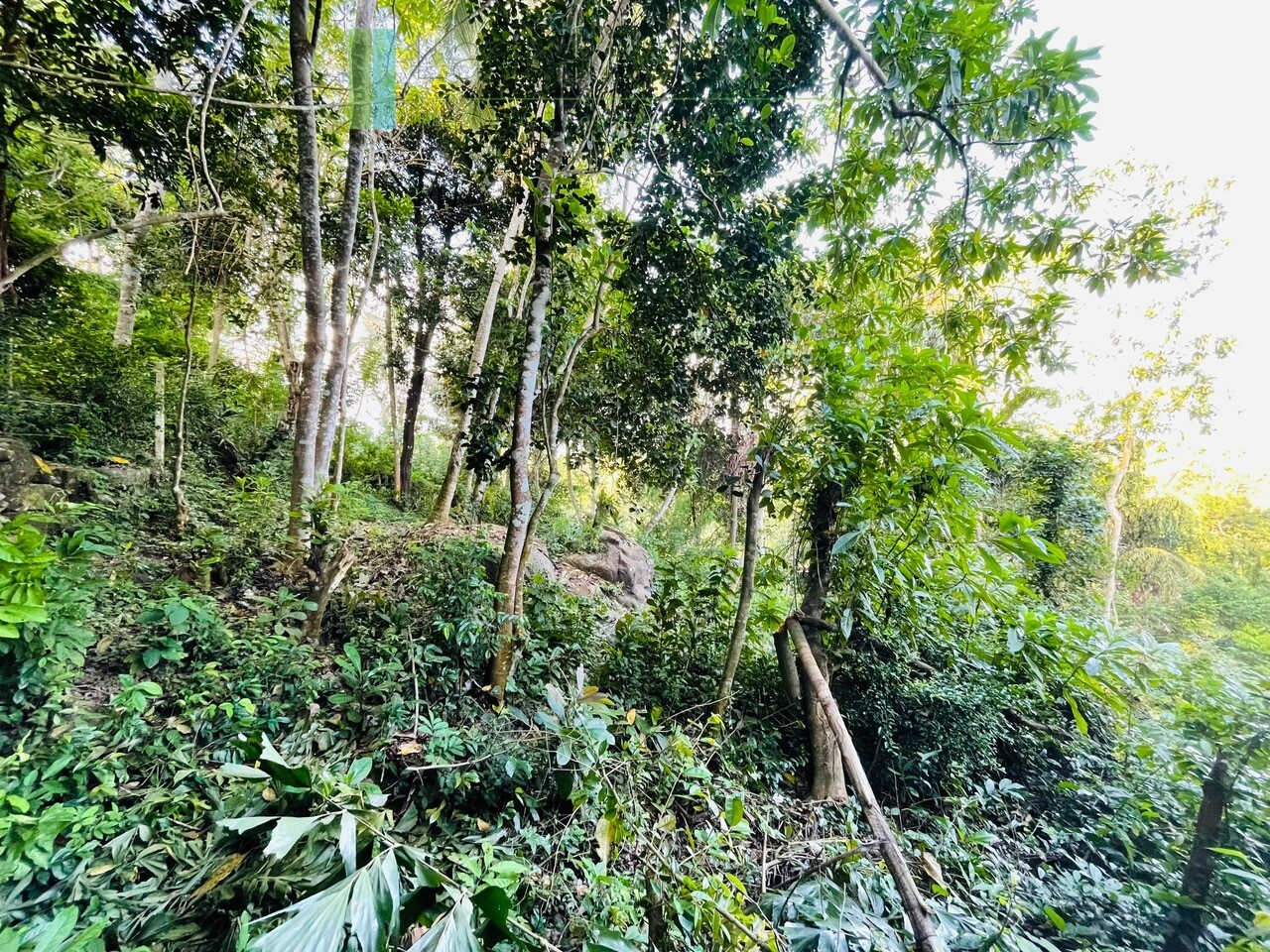 One acre with ocean views at Habaraduwa