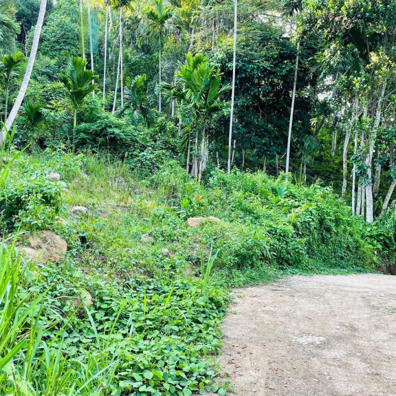 One acre with ocean views at Habaraduwa