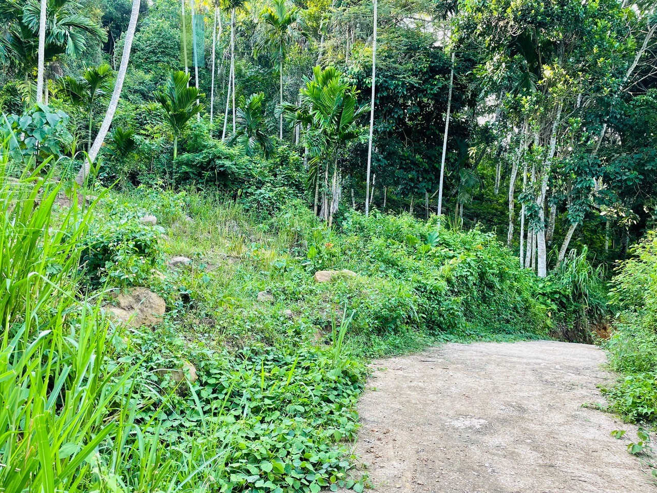 One acre with ocean views at Habaraduwa