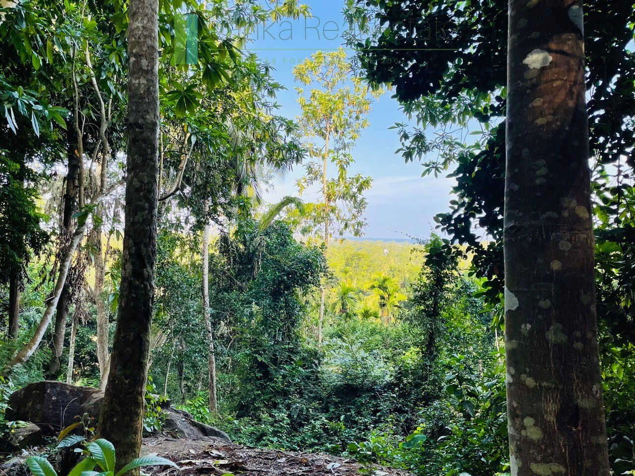 One acre with ocean views at Habaraduwa