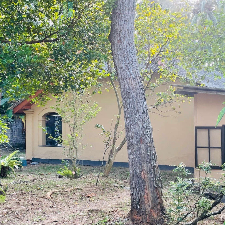 Traditional style house two minutes from the beach