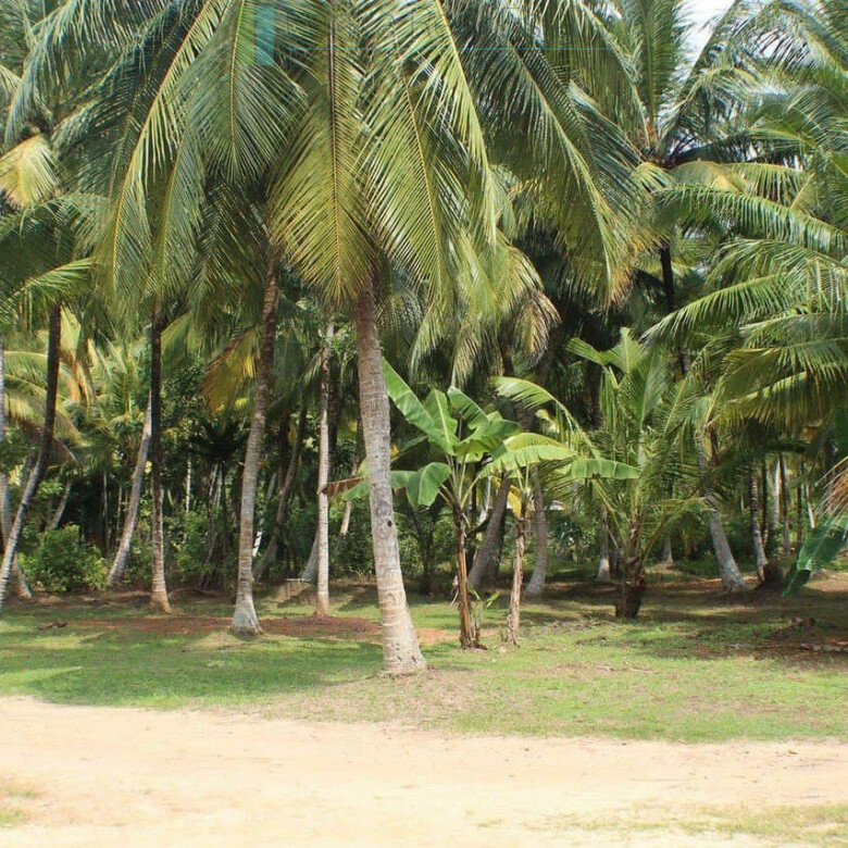 Four bedroom heritage house in Habaraduwa
