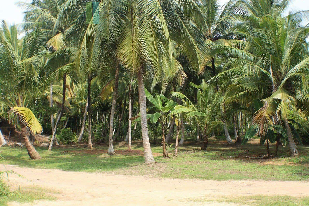 Four bedroom heritage house in Habaraduwa