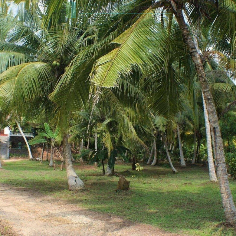 Four bedroom heritage house in Habaraduwa