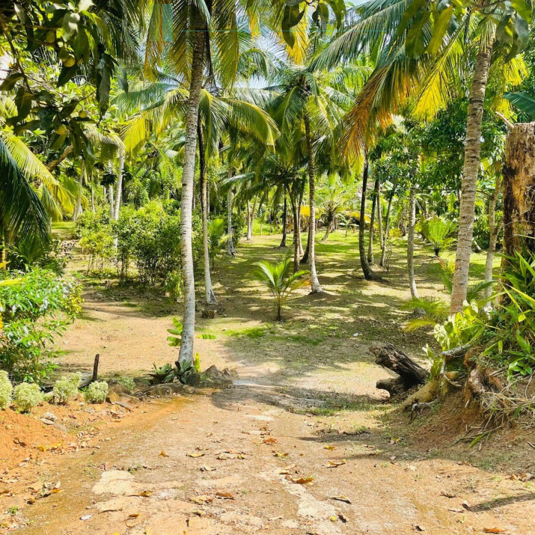 Four bedroom heritage house in Habaraduwa