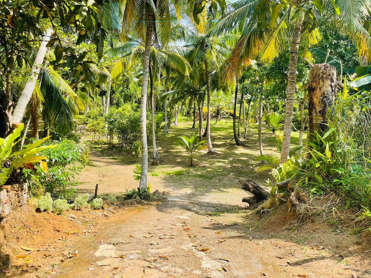 Four bedroom heritage house in Habaraduwa