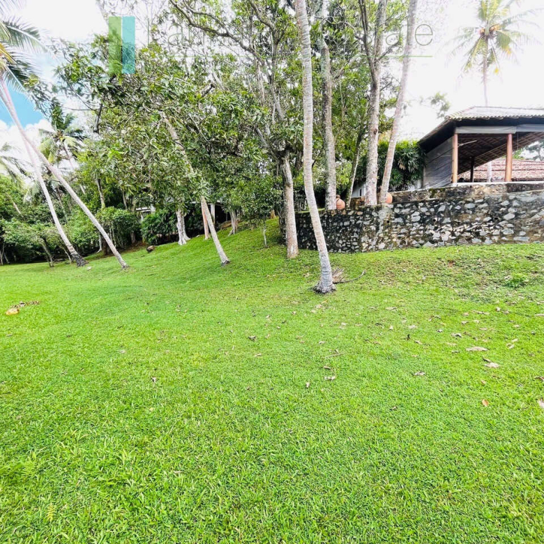 Designer renovation near Talpe