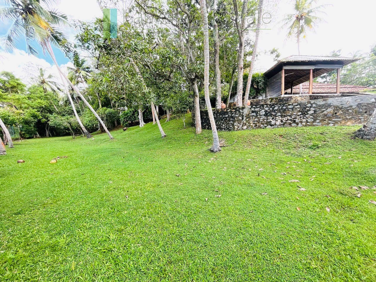 Designer renovation near Talpe