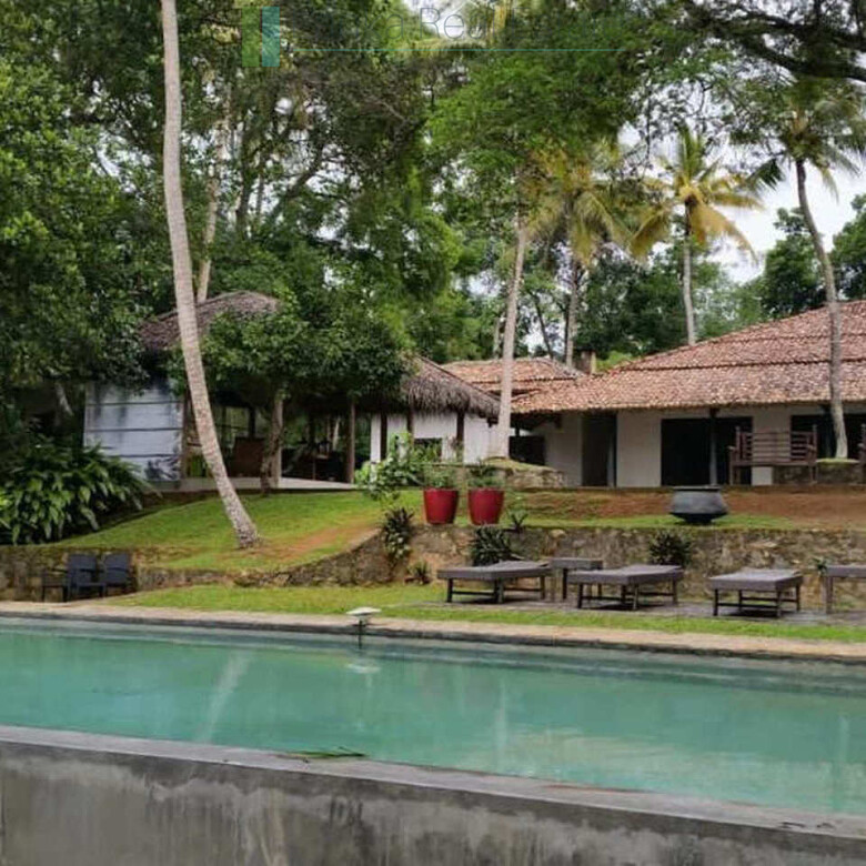 Designer renovation near Talpe