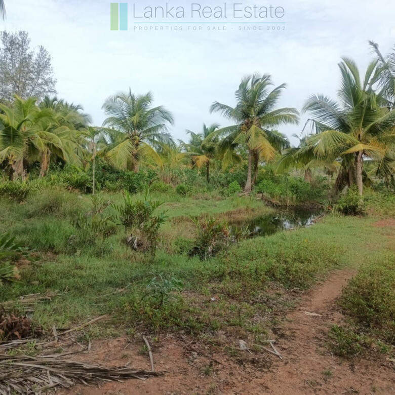 100 acres on Negombo Lagoon