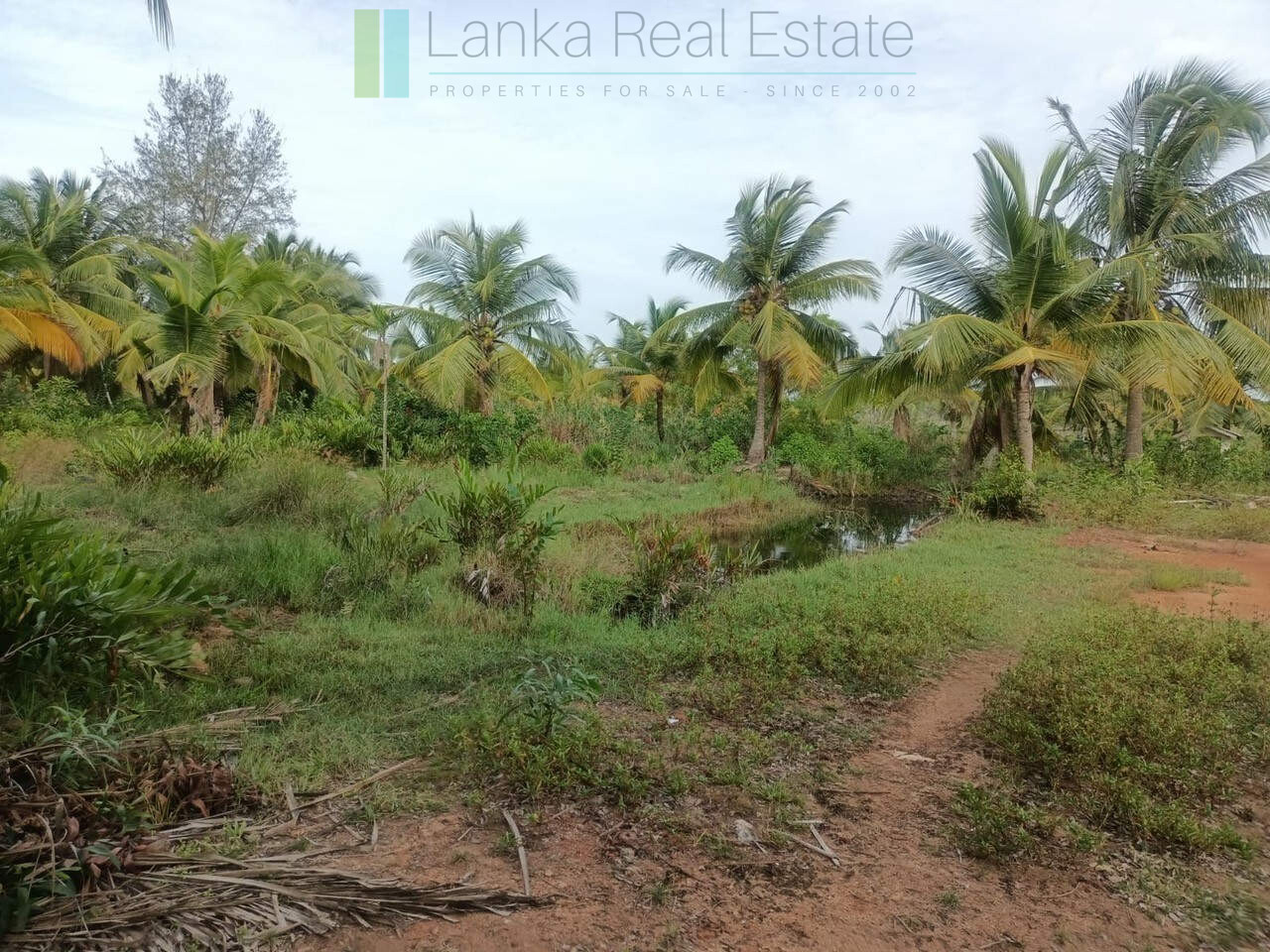 100 acres on Negombo Lagoon