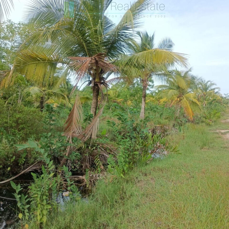 100 acres on Negombo Lagoon