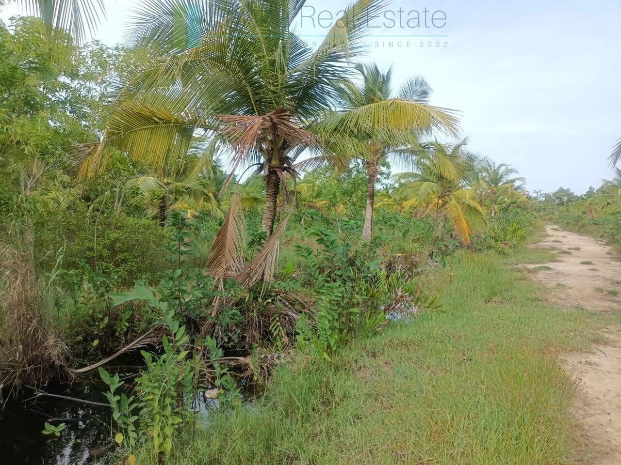 100 acres on Negombo Lagoon