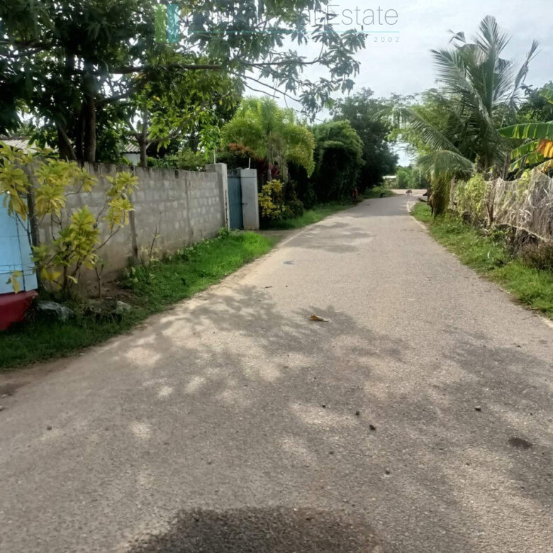 100 acres on Negombo Lagoon