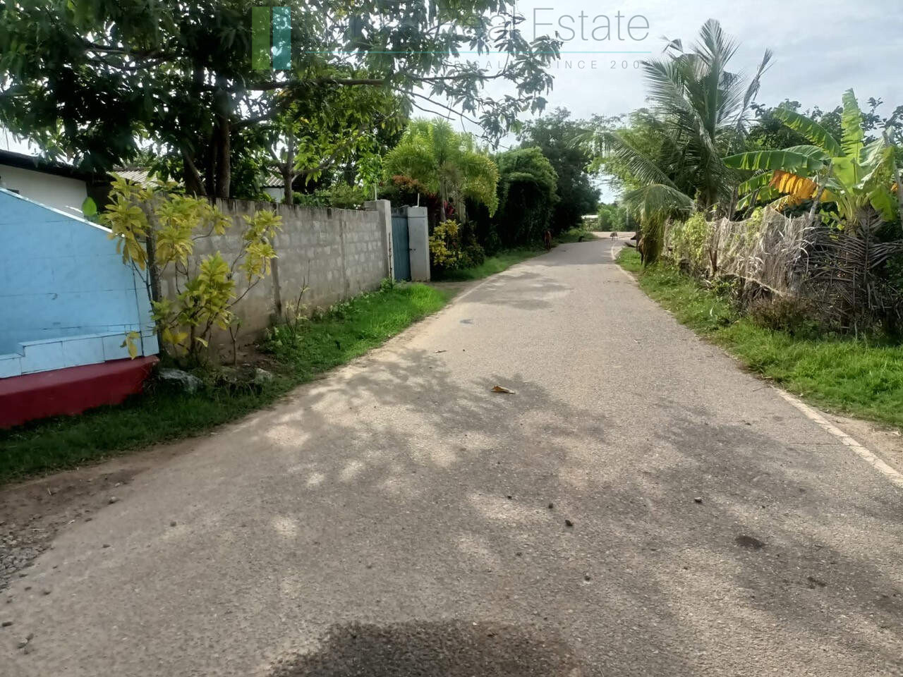 100 acres on Negombo Lagoon