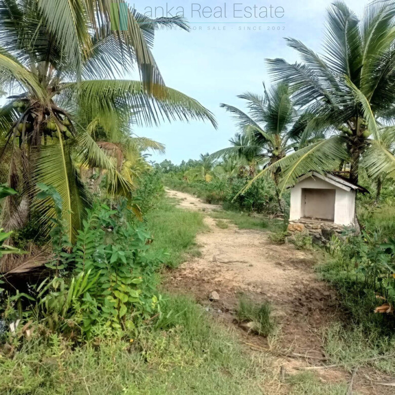 100 acres on Negombo Lagoon