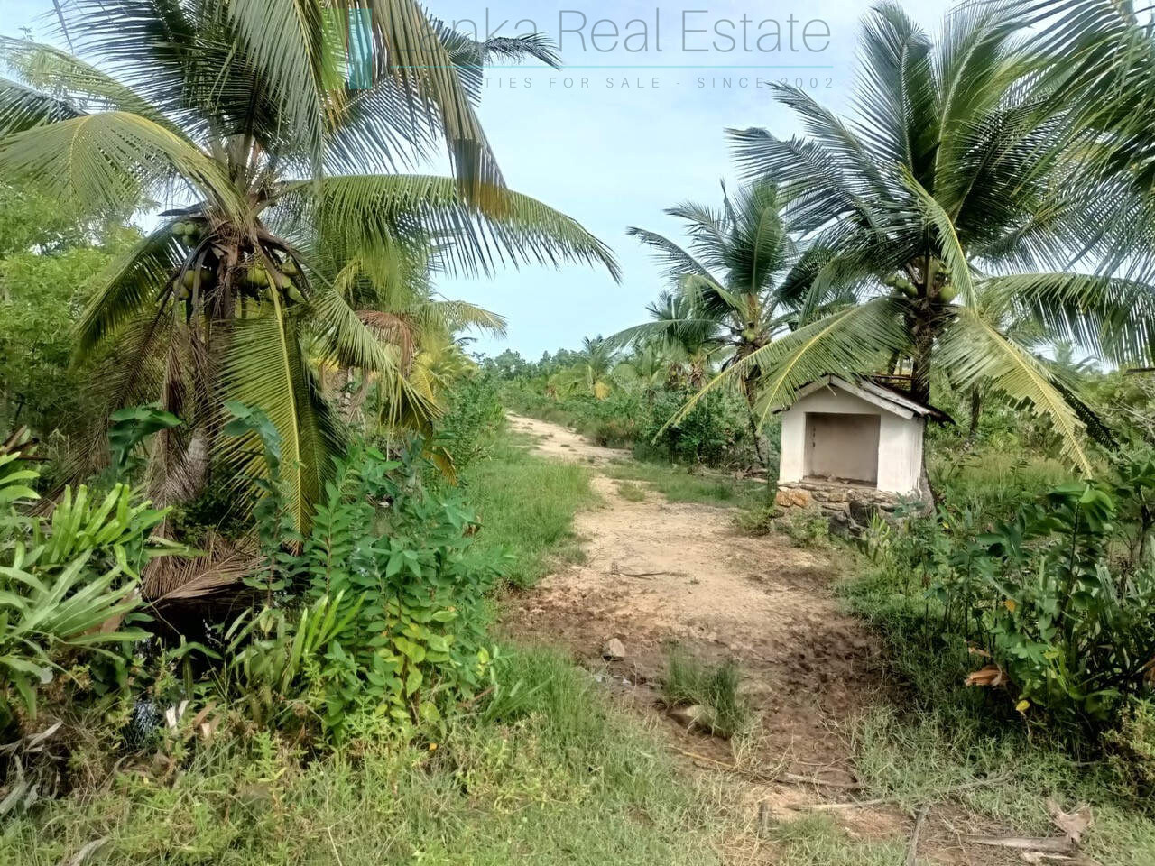 100 acres on Negombo Lagoon