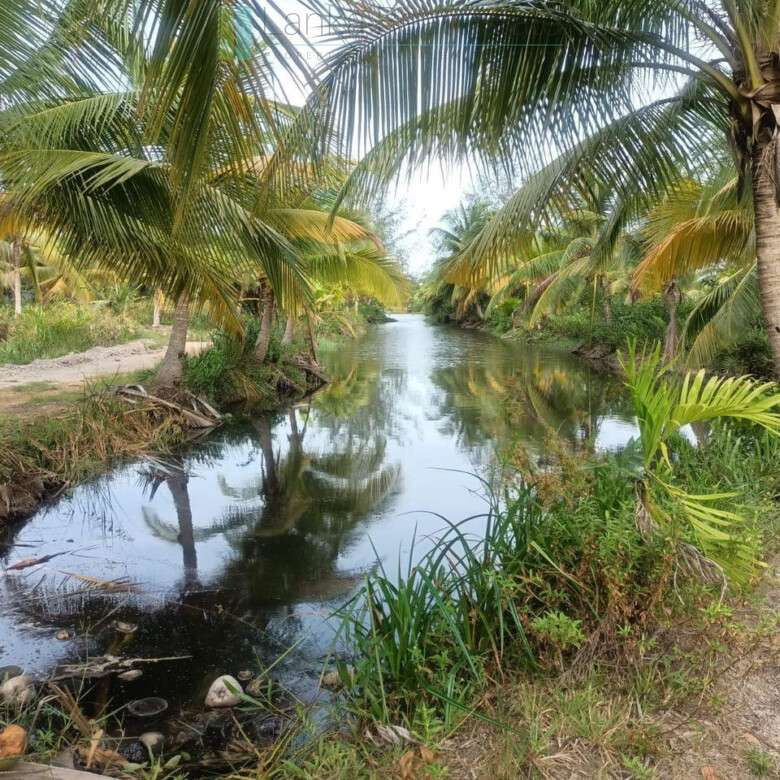 100 acres on Negombo Lagoon