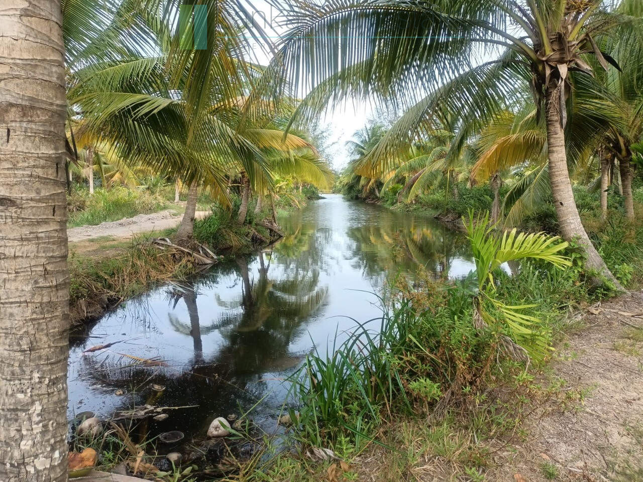 100 acres on Negombo Lagoon