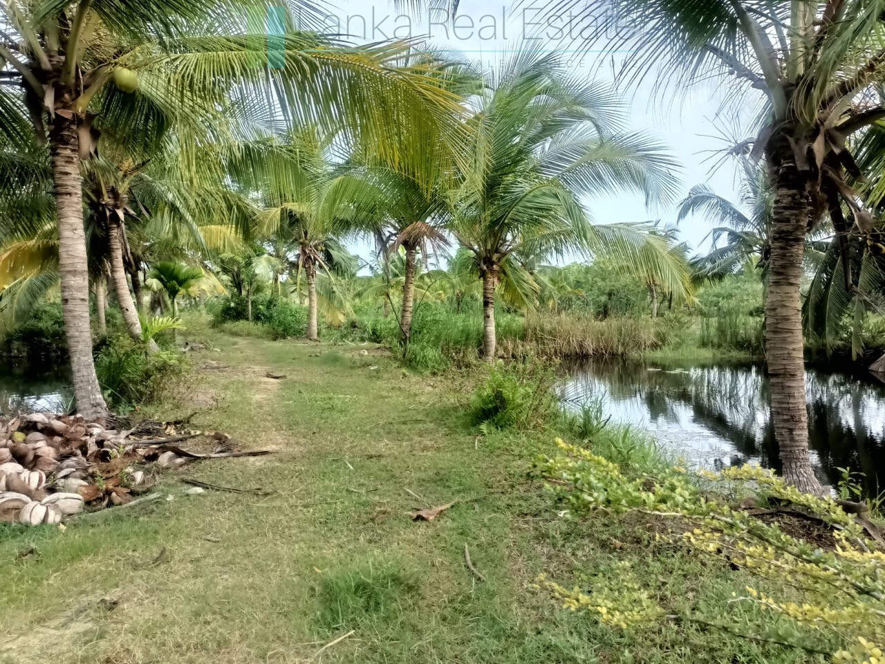 100 acres on Negombo Lagoon