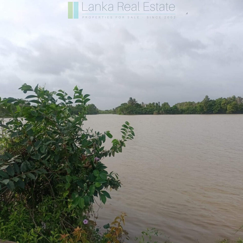 100 acres on Negombo Lagoon