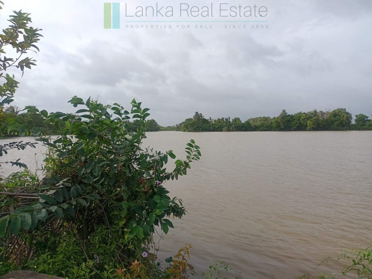 100 acres on Negombo Lagoon