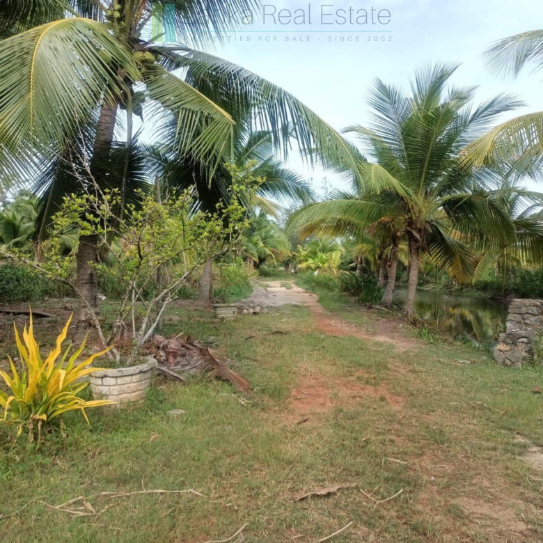 100 acres on Negombo Lagoon