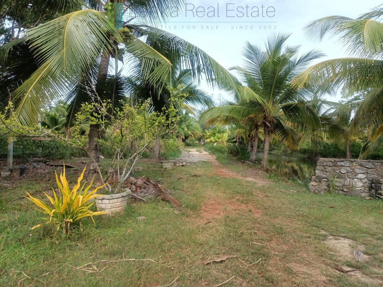 100 acres on Negombo Lagoon