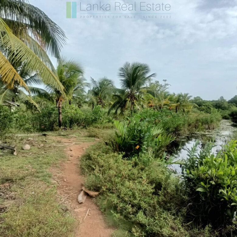 100 acres on Negombo Lagoon