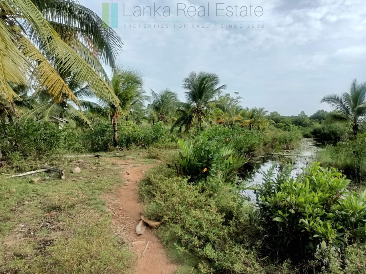 100 acres on Negombo Lagoon