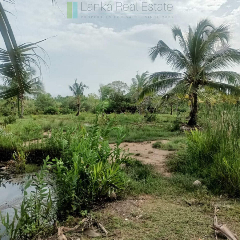 100 acres on Negombo Lagoon