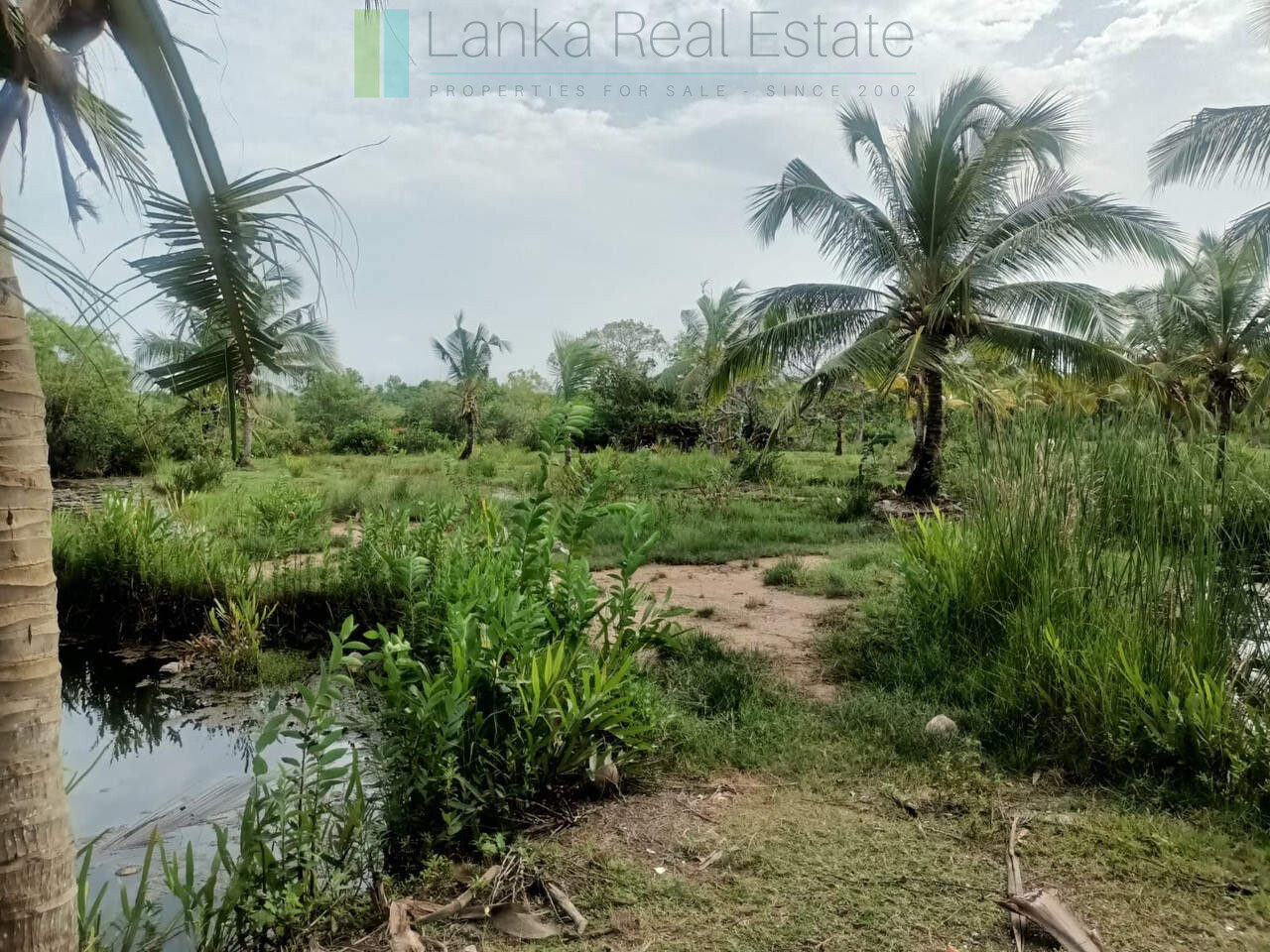 100 acres on Negombo Lagoon