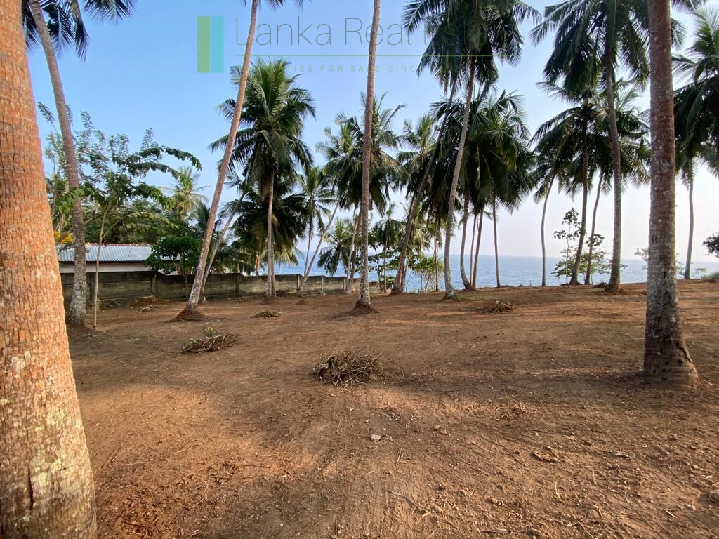 Oceanfront development plot in Hiriketiya