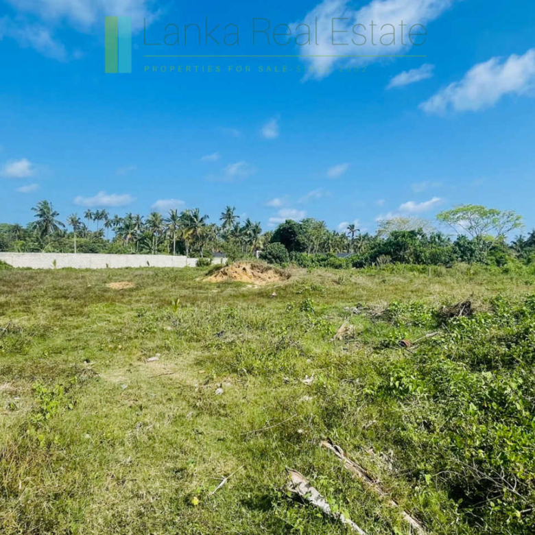 Development plot near Ahangama