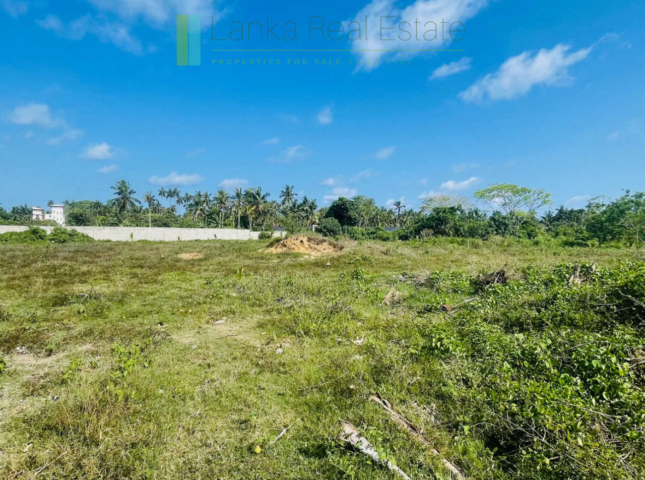 Development plot near Ahangama