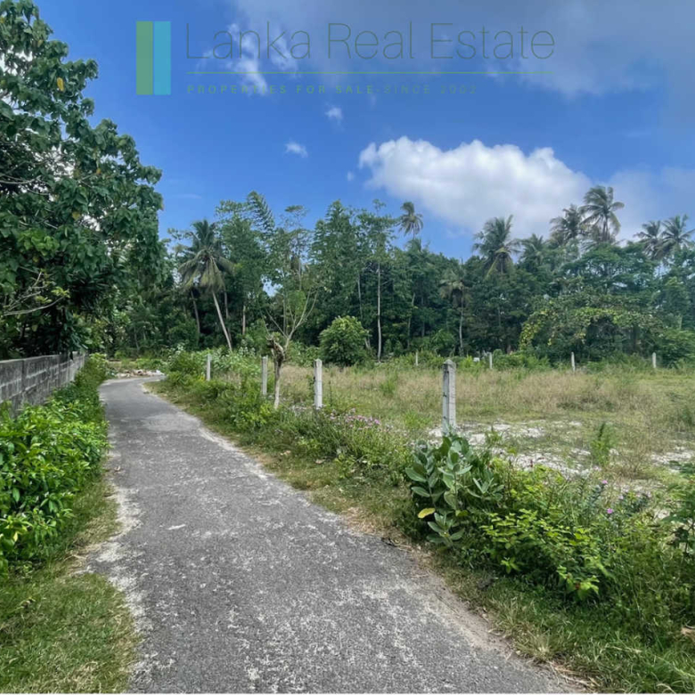 Development plot in Talpe