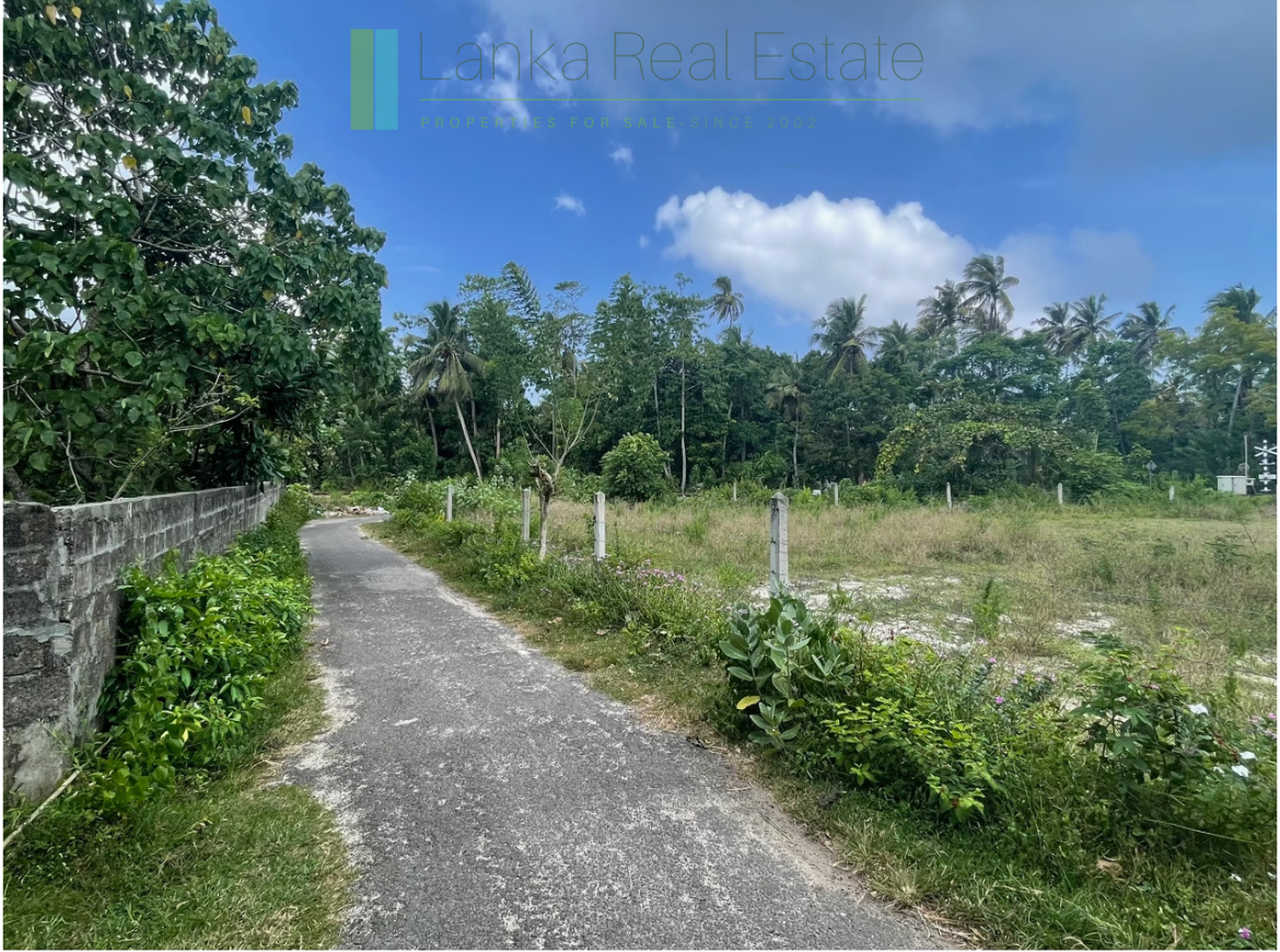 Development plot in Talpe