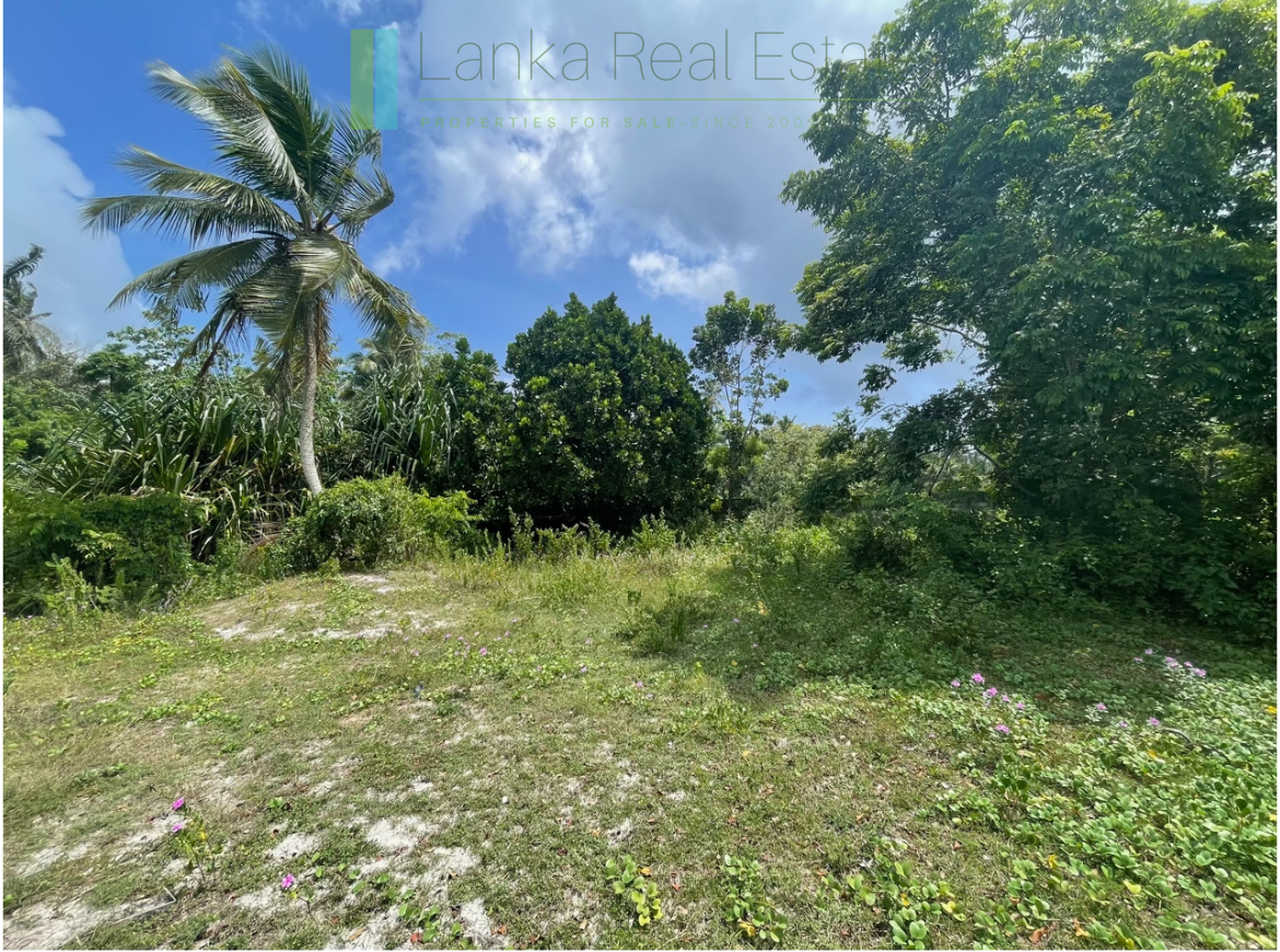 Development plot in Talpe