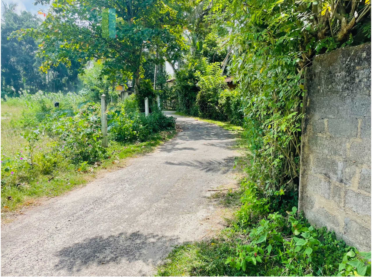 Development plot in Talpe