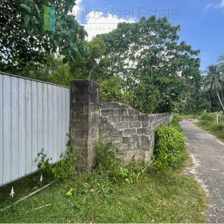 Development plot in Talpe