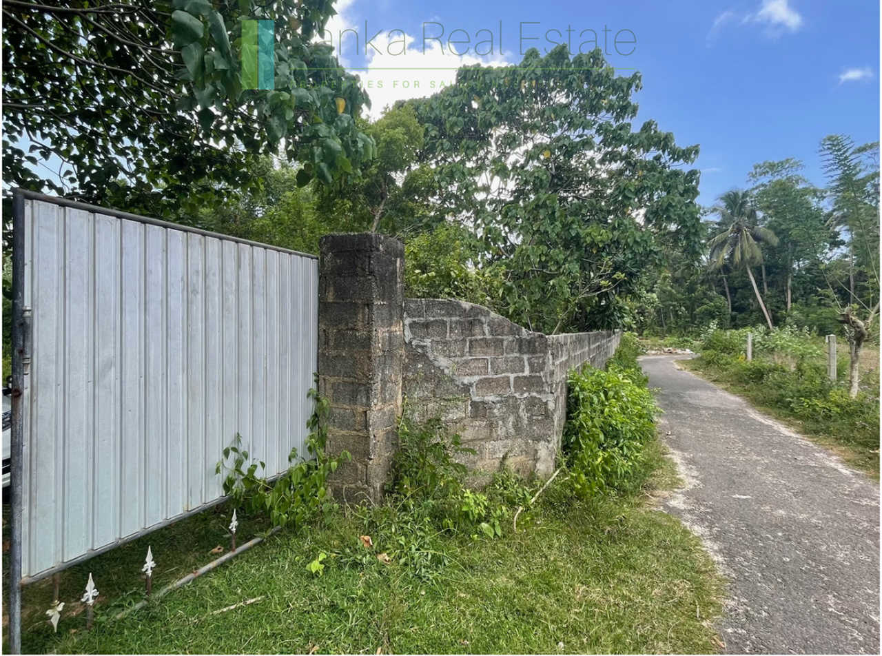 Development plot in Talpe
